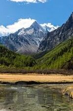 竞彩足球 买比分-竞彩足球买比分，策略、风险与智慧博弈的艺术