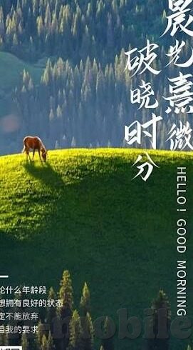 球探比分足球比分APP-深度测评，球探比分足球比分APP——球迷必备的实时数据神器