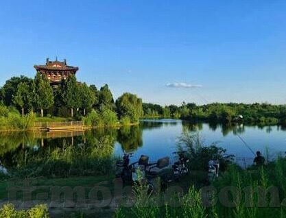 印度阿曼足球比分-绿茵烽火，印度与阿曼足球对决比分背后的竞技风云与文化碰撞