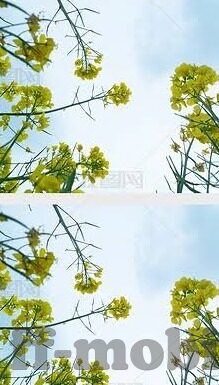 足球竞彩比分188-足球竞彩比分188，一场数字背后的激情与策略博弈
